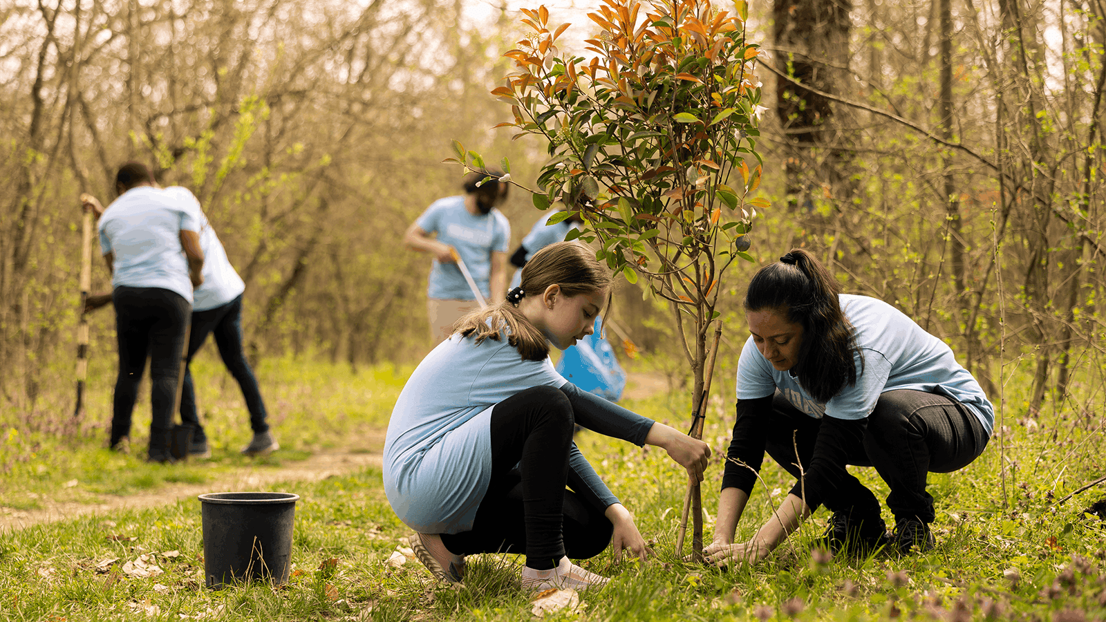 Humanitarian aid initiative