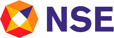 NSE logo
